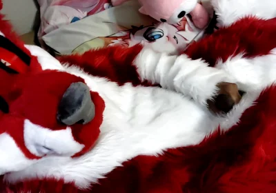 Jerking off and Showing Footpaws in Full-body Fursuit