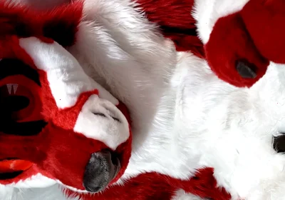 Furry in Full-body Fursuit Pisses on You, Then Cums Over Himself