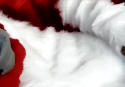 Jerking off and Showing Footpaws in Full-body Fursuit