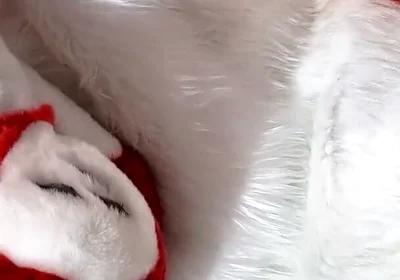 Furry in Full-body Fursuit Pisses on You, Then Cums Over Himself