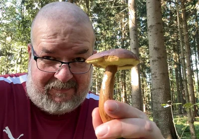 First in the Forest, Picking Mushrooms. and Then