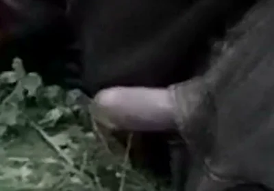 Cute Jon Arteen Gay Twink Jerks off Outdoors, Dry-humps the Air, and Shoots Cum Through a Hole in His Pants