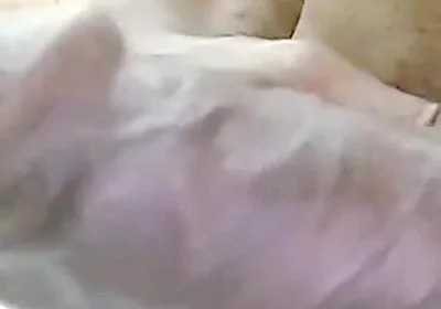 Heavy Cock Heavy Cock