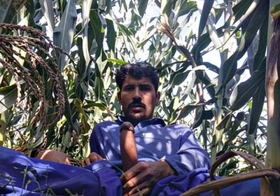 Solo Boy Huge Cock HD