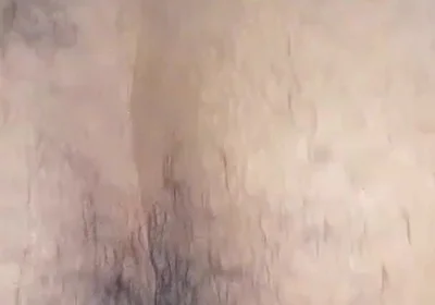 Delicious Buttocks for You