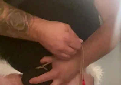 Cock Bondage with Crossdress and Additional Bondage Hands Cuffed to Collar with Butt Plug Insterted