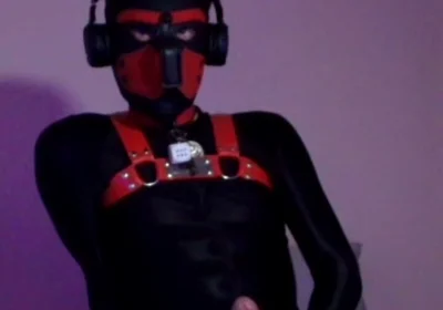 Remote Controlled Puppy Whimpers While Jerking off