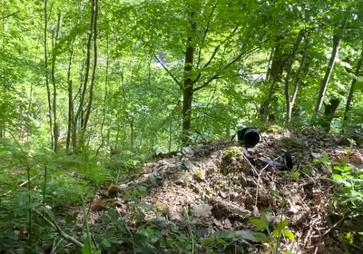 Connecting with Nature