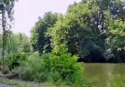 Slutboyben Cam4 Mega Sexy Public Exhibitionist Pig