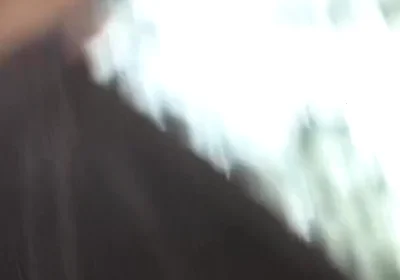 Five Skaters Hook up at the Edge of the City Park