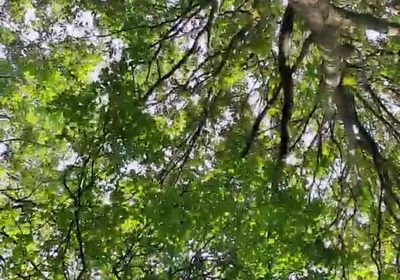 Slutboyben Cam4 Sexy Cruising Chick Iii Live Outdoor Exposure