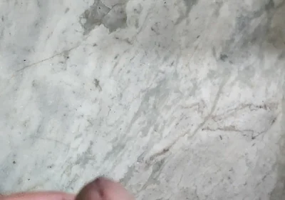 A Tribute to Mary John