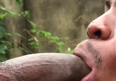 Sweet Cock Sucker