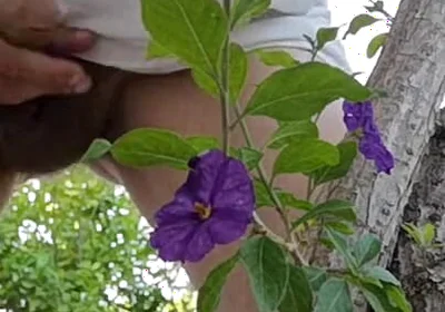 Watch Me Jerking off Outdoors While Hiding Behind a Tree