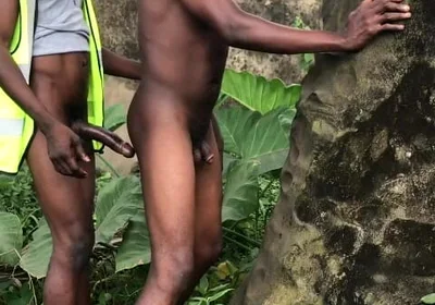 Outdoor Sex Behind the Palm Tree Is the Farm