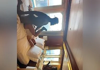 Sucking Dick Outside On Cruise Balcony Then Inside To Get My Ass Filled With A Huge Load!