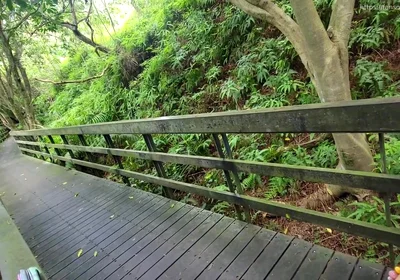 My First Outdoor Sex