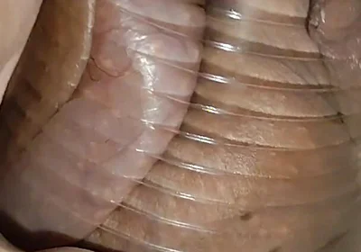 Daddy Extreme Pressure on the Caged, Wounded Cock.