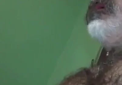 Loboibérico & Daddy Chris Barebacks a Fag