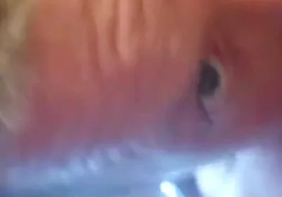 An Intense Orgasm From a Blowjob Cum in Mouth