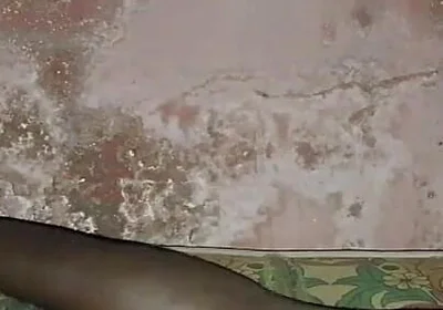 Banging My Rustic Bed in My Rural Room