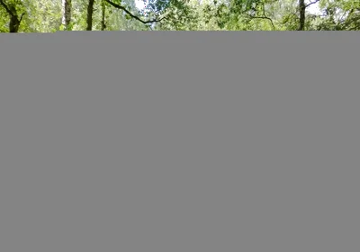 Thank You Again for Cum and Watching