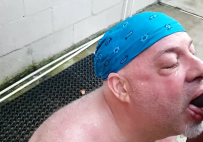 Bear Gets Pissed on by BBC