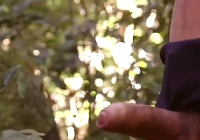 Fuck Amazon Jungle Breeding Bi Sexual Cumshot