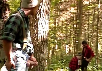 Michel Damours Hunted Hd!