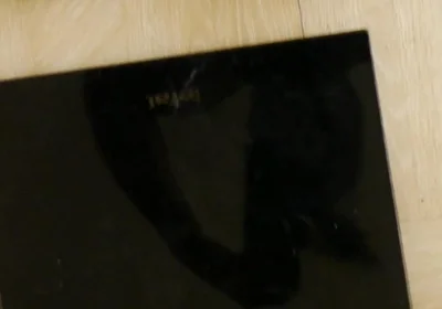 Weighing Your Black Fit Pony
