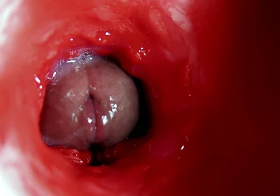 A Big Beautiful Cock Flows Abundantly Inside a Wet Slippery Hole and Smacks!