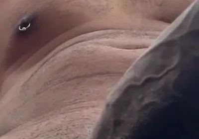 Cock Lovers. POV