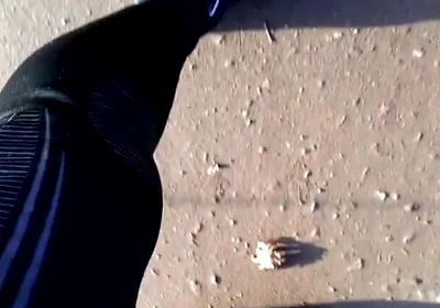 My New Barefoot Shoes