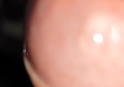 Waking up Excited and with My Cock Soaked in Precum.