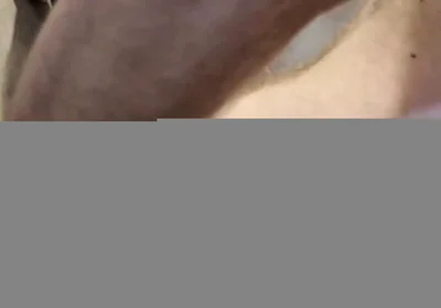 Bear Dildo Play - Fuck Me in the Shower