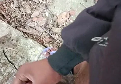 Or Ak Naw Vlog Sex Step Sex Naw Season 1