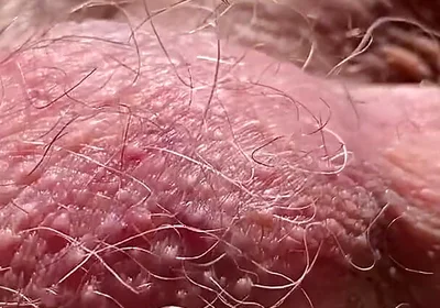 Checking That Everything Is in Order at the Construction Site.