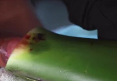 Jerking Off With Aloe Vera Ultil I Nut A Thick Load