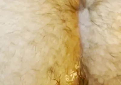 Ass up Face Down Raw Dirty Rough Cumdump Hairy Big Dick Hardcore Bareback Breeding