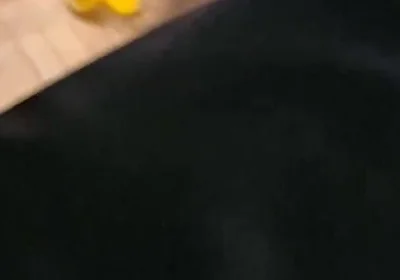 Chubby Daddy Bear Has Very Dirty Feeet.