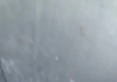 Having Sex with a Rich Latina, a Young 21-year-old Virgin with a Big White Ass.