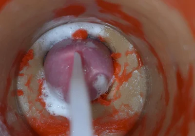 Insemination - Internal Camera Captures Deep Male Ejaculation