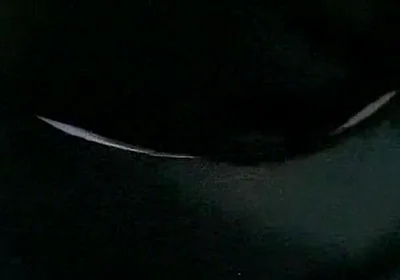 Masturbation Mature Man with Big Cock Part 1