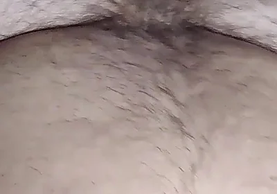 Some Fries for the Fat Pig