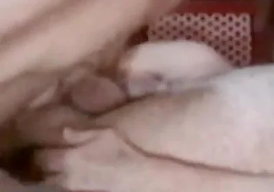 Used by Fan 2