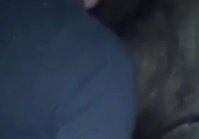 French slut creampied by jordan Dawson