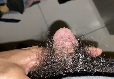 I Masturbate in the Afternoon