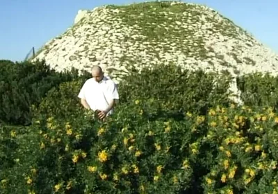 Twink Fucked Down by the Beach