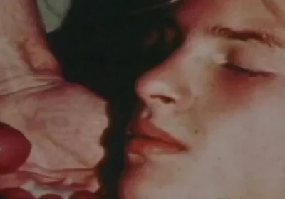 Bos Butthole Is Steves Playground