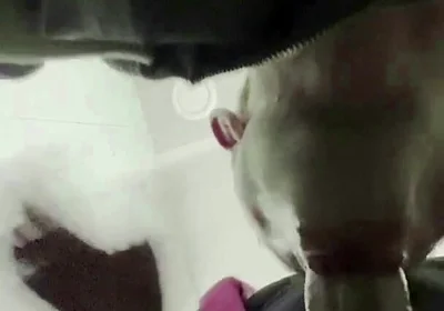 The Teacher's Thick Sucks in a Public Toilet. Slaps for a Student